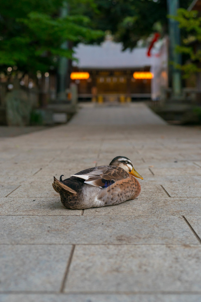 一休み♪