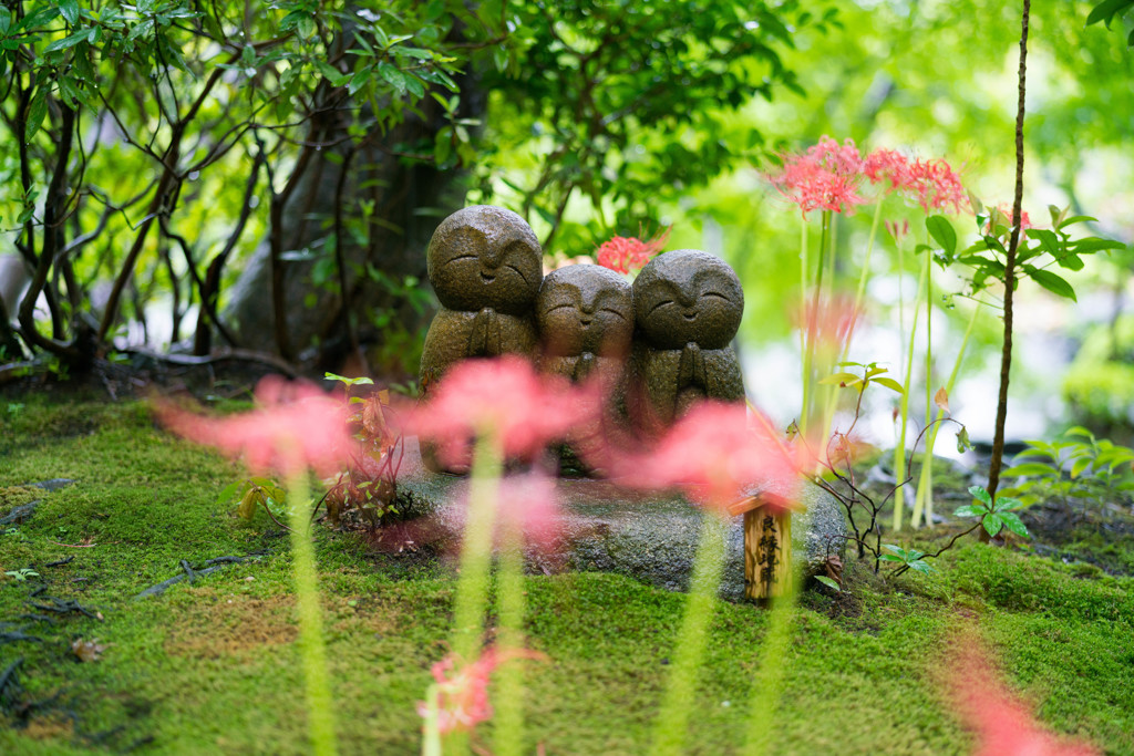 良縁祈願@長谷寺♪