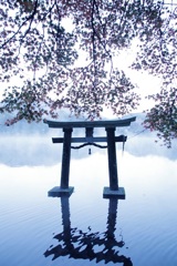 金鱗湖
