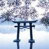 金鱗湖