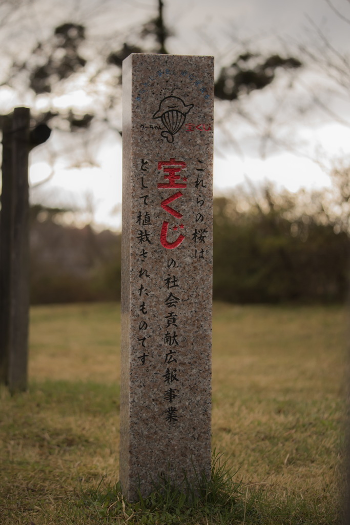 宝くじ