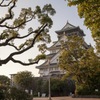 夕暮れ時の大阪城