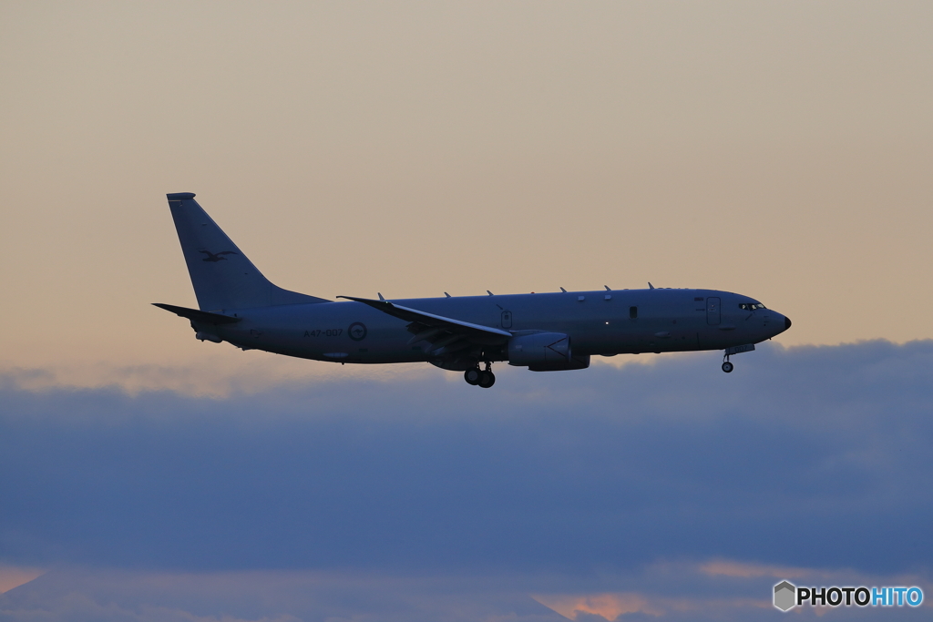 Royal Australian Air Force