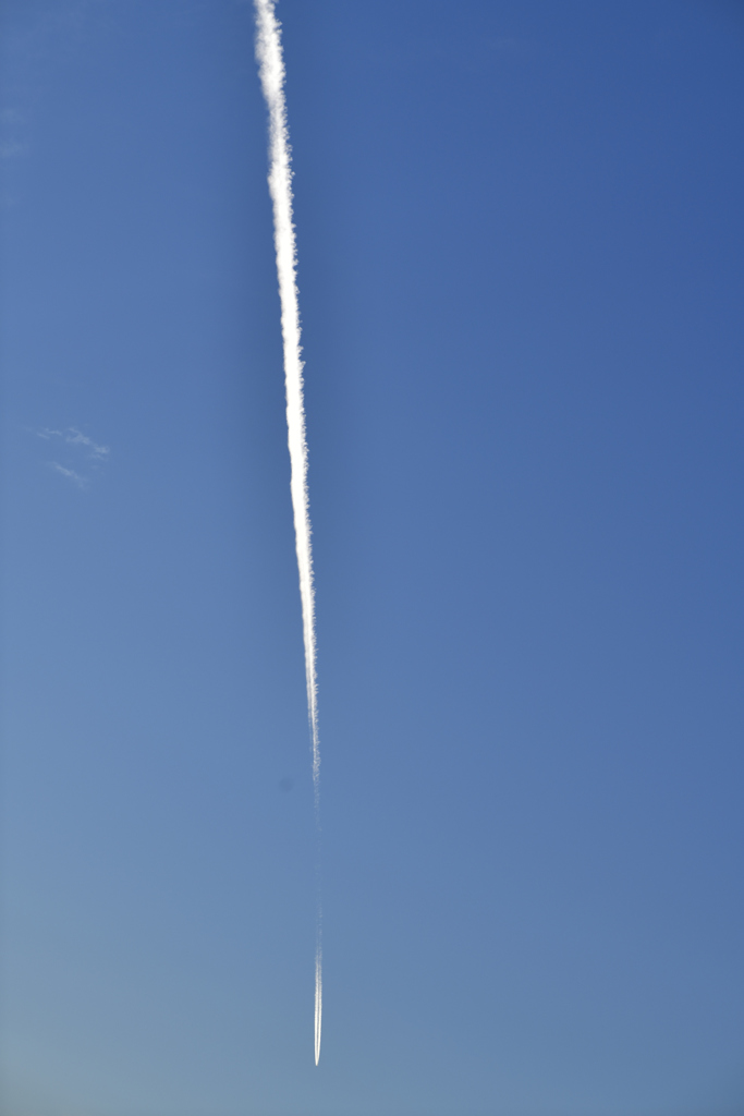 降ってきた？