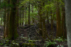 静寂