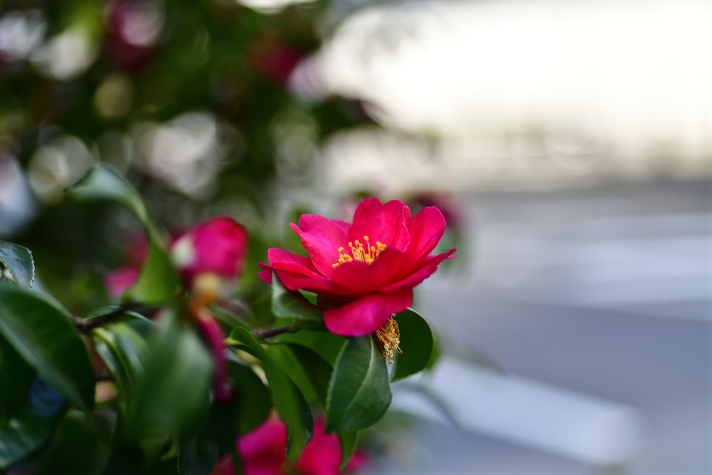 最初の1枚