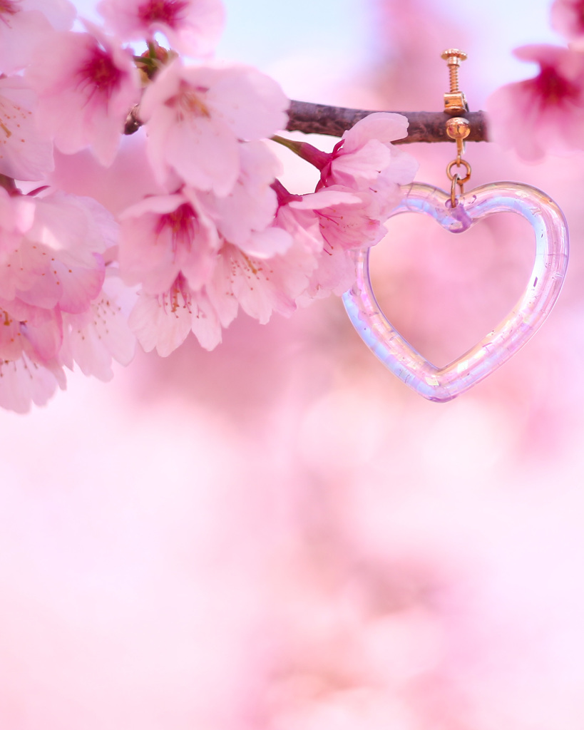 ♡と桜のコラボ