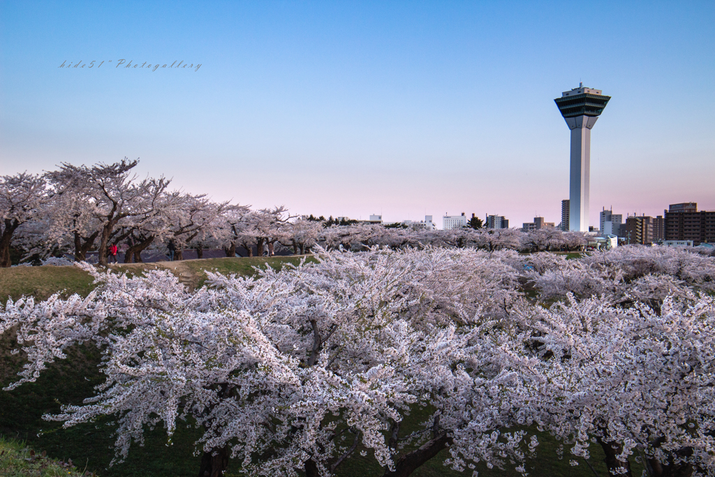 Goryoukaku　Park　3