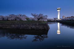 Goryoukaku　Park　5