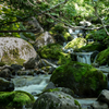 登山道
