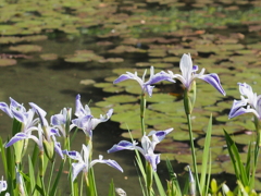 P5040244