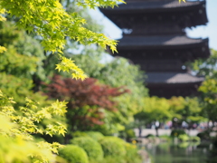 東寺 京都