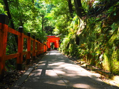 P5050850