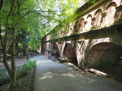 P5040291