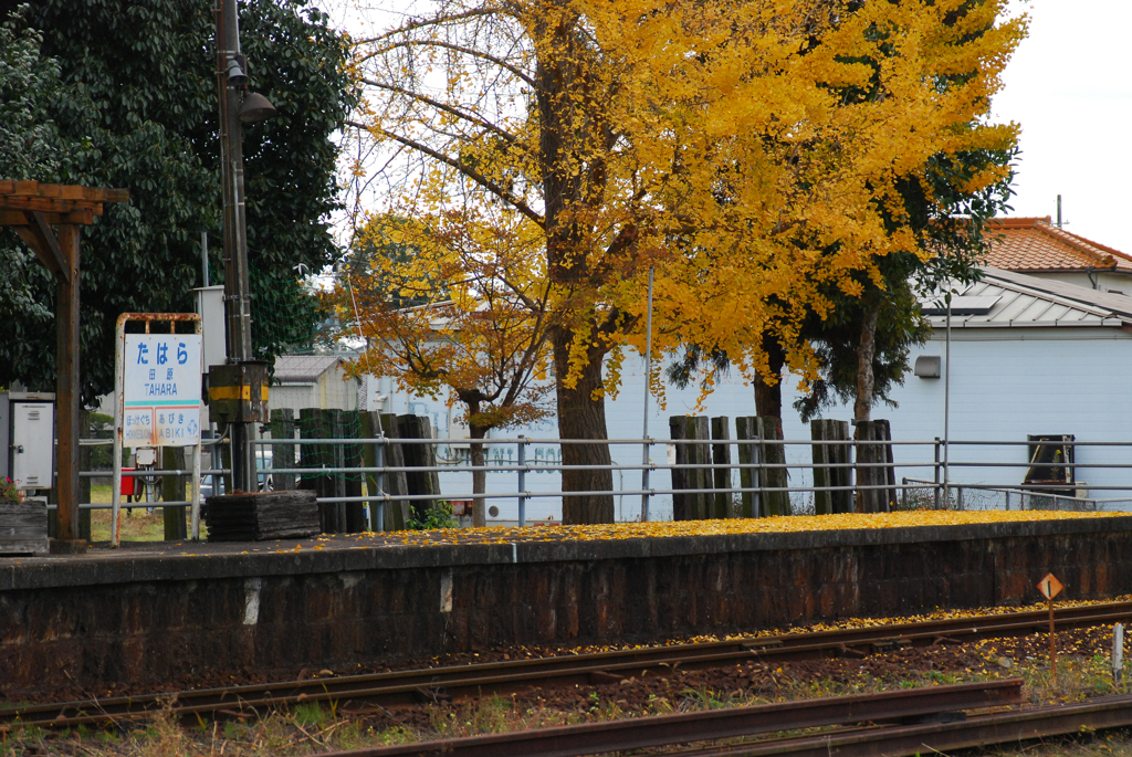 北条鉄道、田原駅にて①