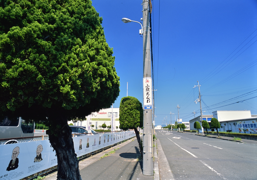 小鯛ちくわ