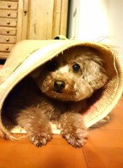 見つけた‼
