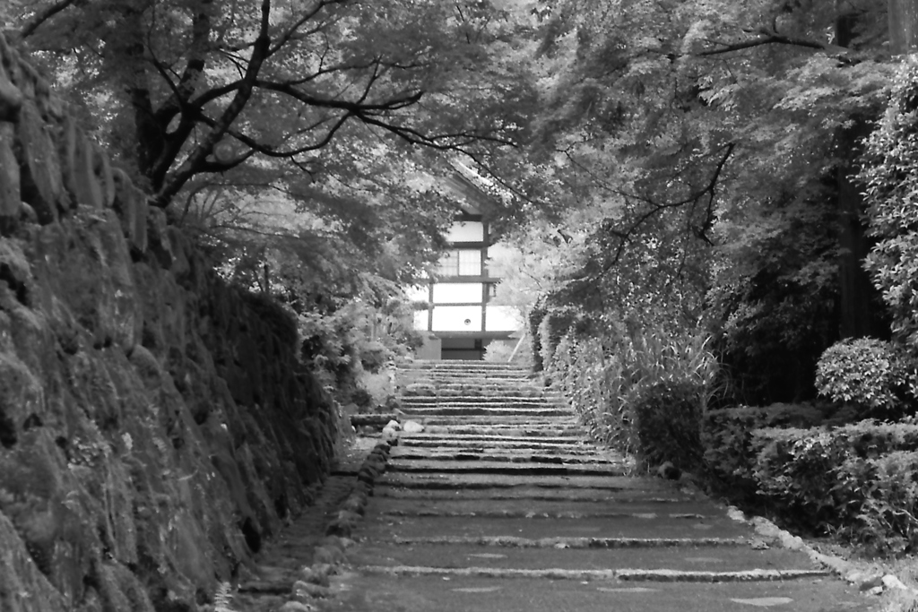 正伝寺
