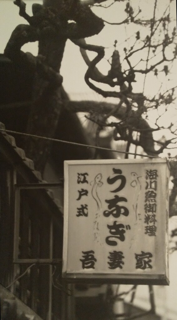 鰻屋の看板