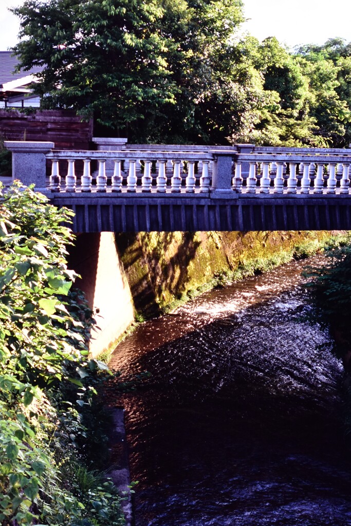 橋