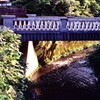橋