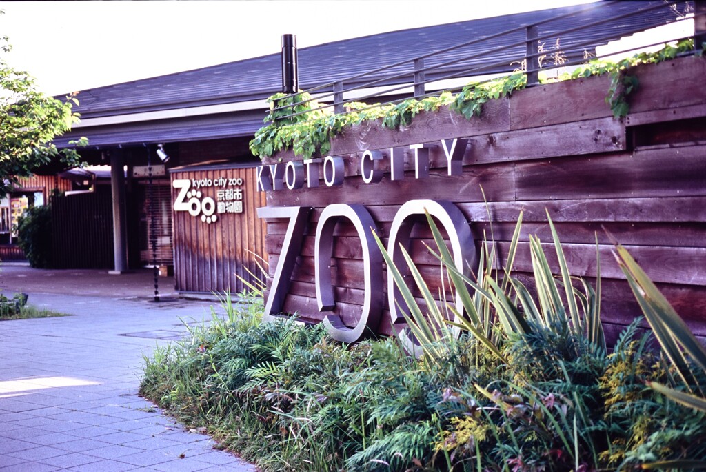 ZOO