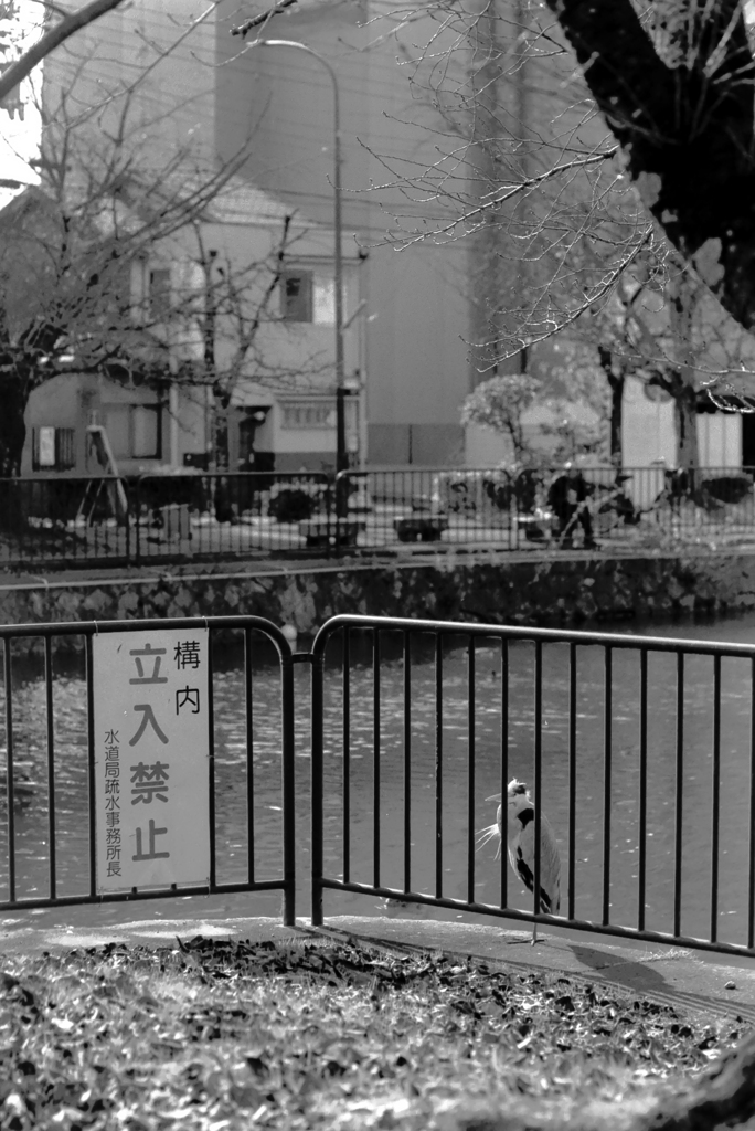 「柵」