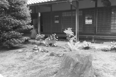 本堂の脇