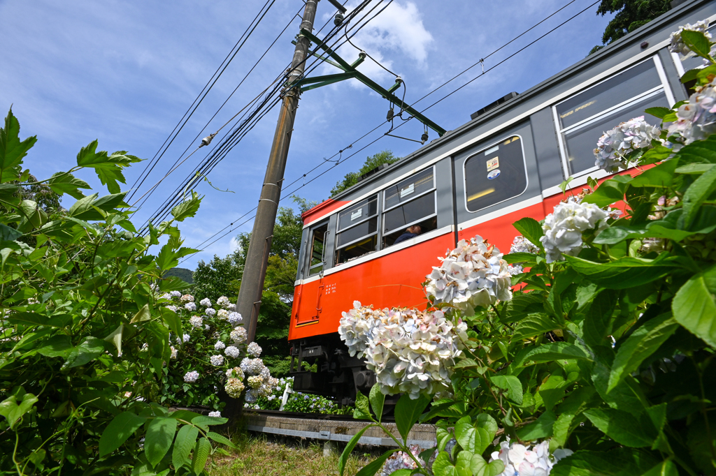 箱根登山電車①