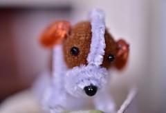 犬