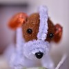 犬