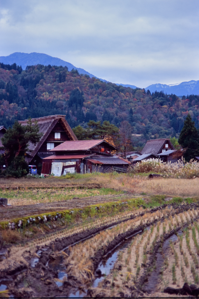 白川郷②