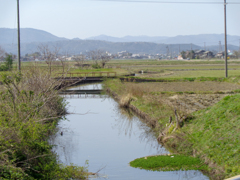 春の小川