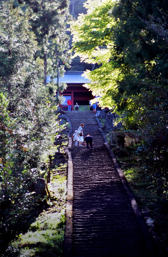 妙義神社お参り③