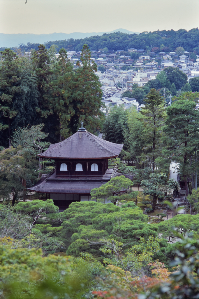 銀閣寺②