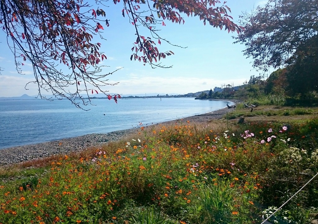 秋晴れの湖岸