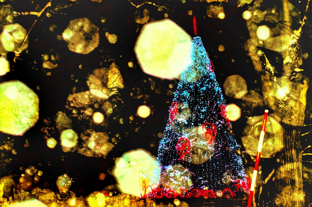 イルミネーションに降り注ぐ黄金