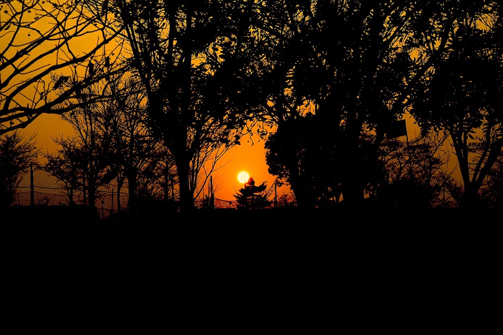 公園の夕焼け