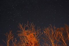 夜空