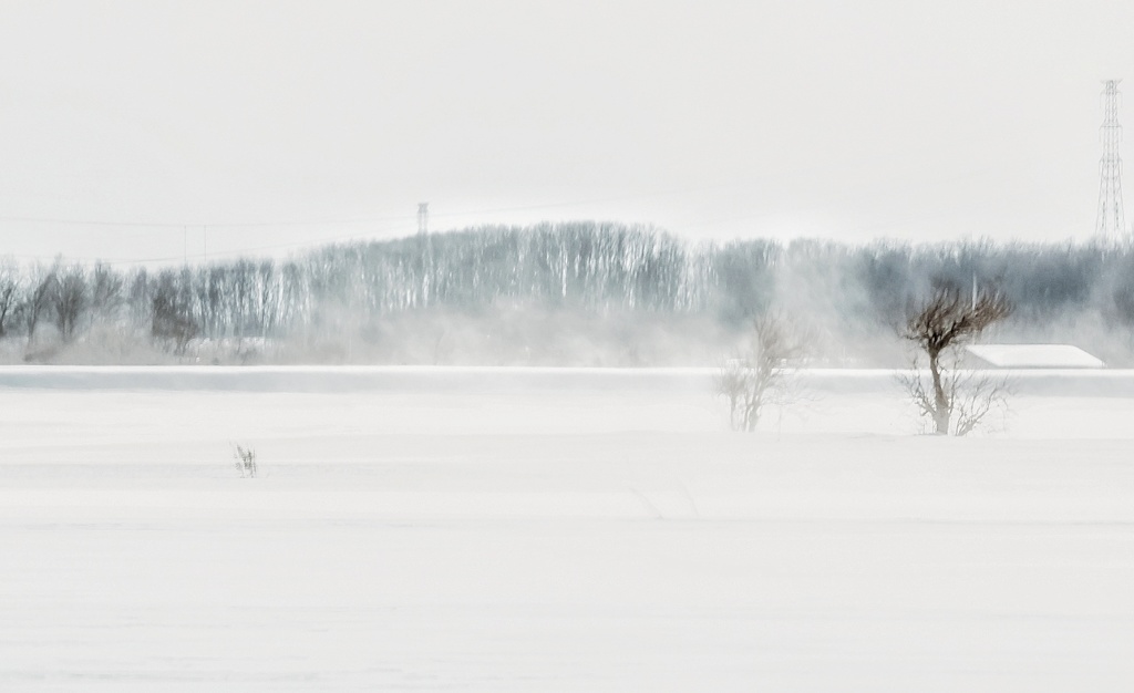 地吹雪