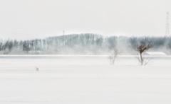 地吹雪