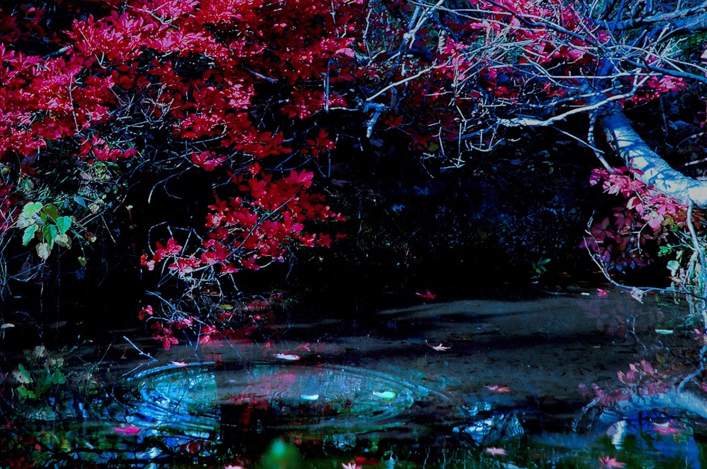 湧水