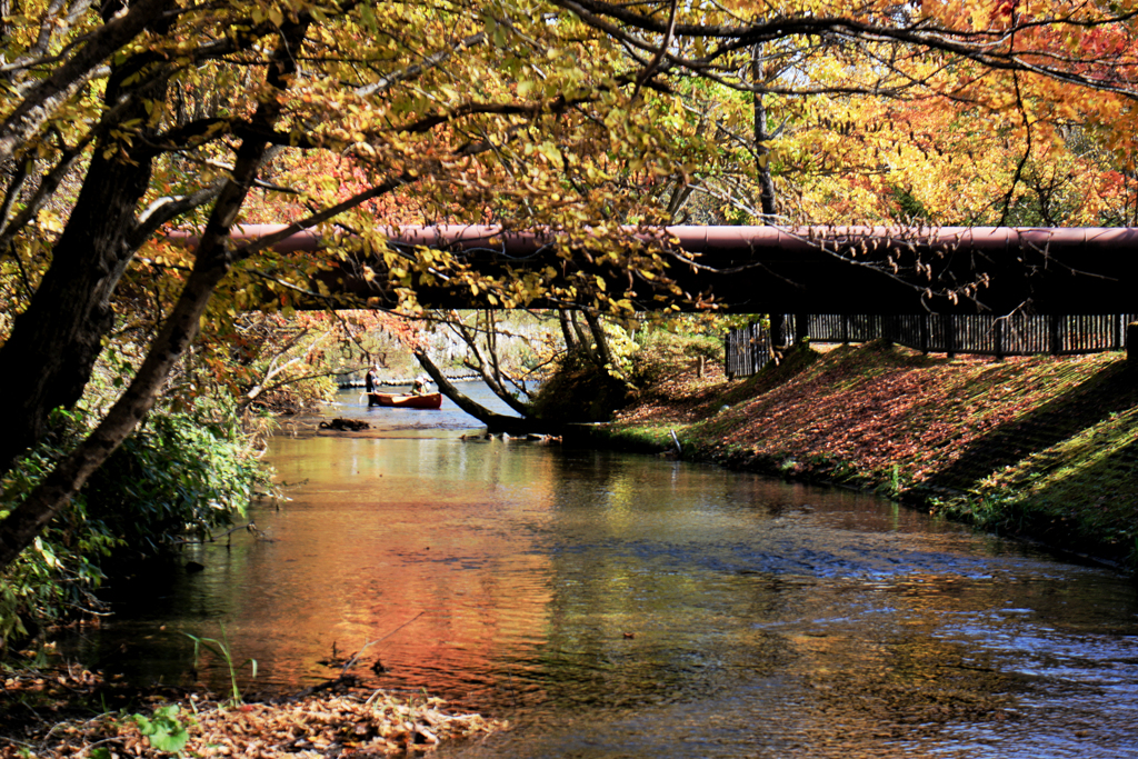 秋の川