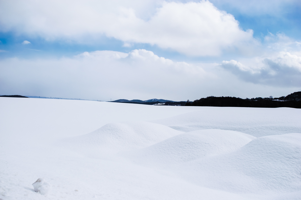 美しい～雪