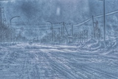 地吹雪の中