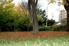 2017-11-04-23-06-13