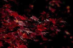 2017-10-23-08-30-36