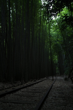 廃線