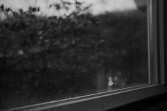 雨模様