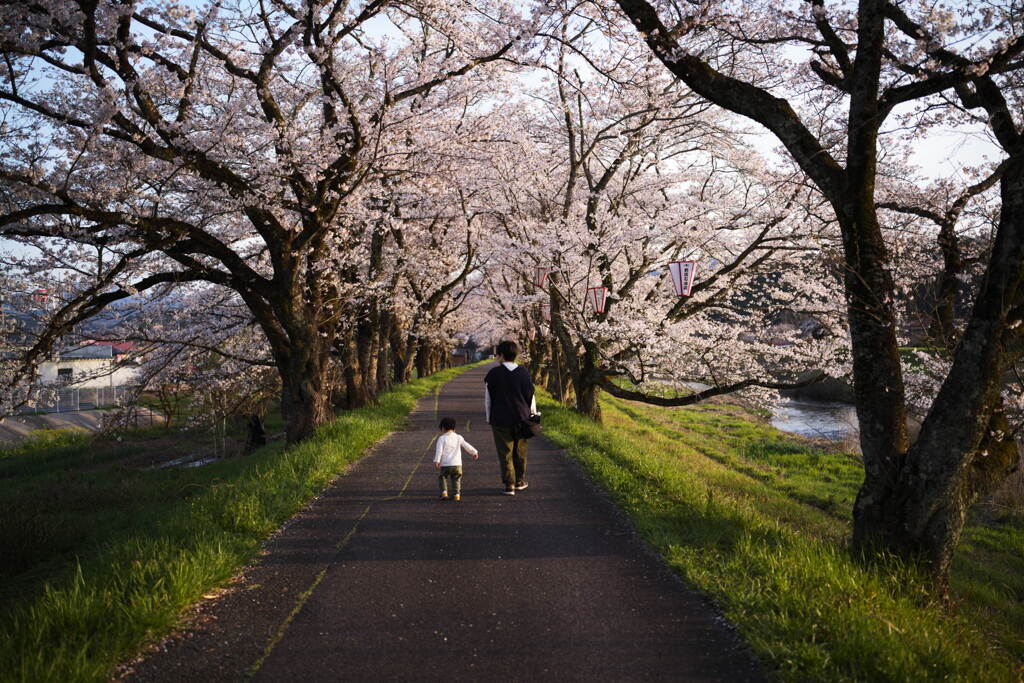 散歩道